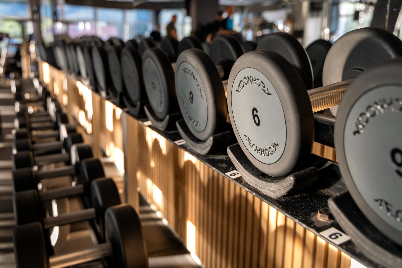 Technogym činky